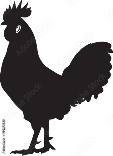 Black silhouette of a rooster standing with raised tail and crest also transparent background chicken