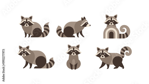 Cute Raccoon Illustrations Collection