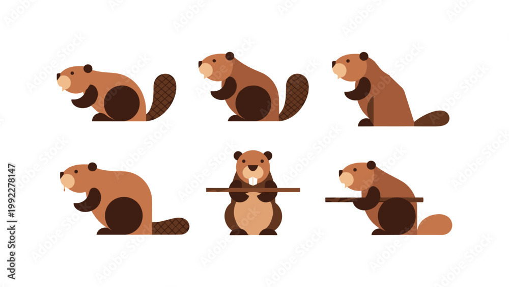 Fototapeta premium Cute Beaver Poses Collection