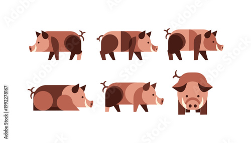 Wild Boar Animal Illustrations