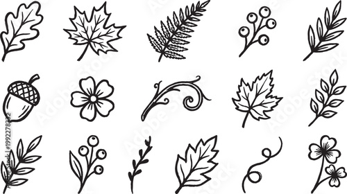 Collection of handdrawn natural elements including leaves acorns flowers and decorative branches isolated on white
