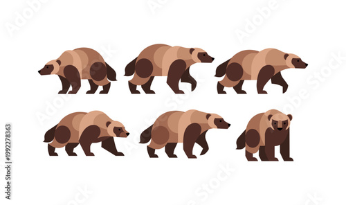 Wolverine Animal Illustration