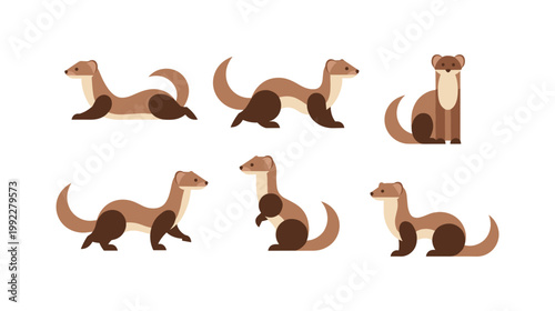Weasel Animal Collection Flat Design
