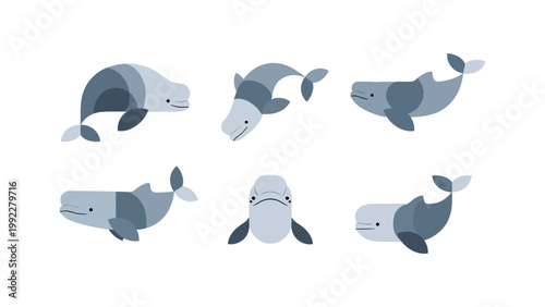 Cute Beluga Whales Collection