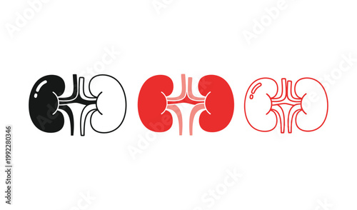 Illustration of human kidneys in three styles: black silhouette, solid red, and anatomical red outline, medical science concept.