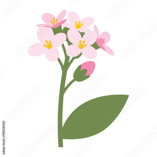 Pink flowers with green stem and leaf green leaf white background