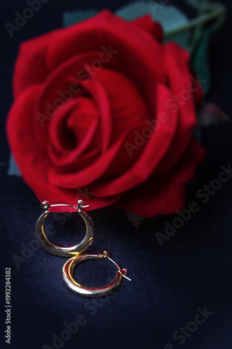 Elegant gold hoops paired with bold red rose, dark backdrop, jewelry showcase