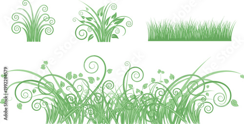 Decorative Grass and Floral Swirl Elements Collection with Ornamental Plants for Nature Design, Elegant Garden Vector Illustration Set