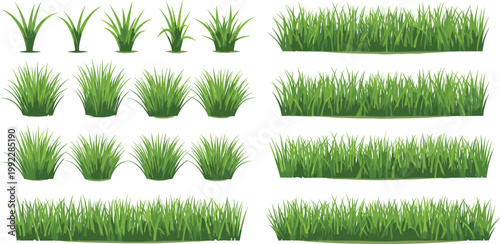 Green Grass and Bush Elements Collection with Lawn Borders and Tufts for Nature Landscape Design, Garden Decoration and Ground Vector Illustration Set