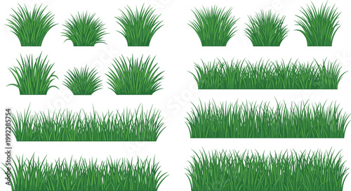 Green Grass and Lawn Collection with Various Tuft and Border Elements for Nature Landscape Design, Garden Decoration and Ground Vector Illustration Set