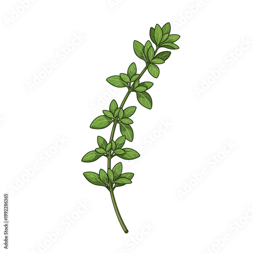 Herb sprig icon representing natural ingredients and freshness.
