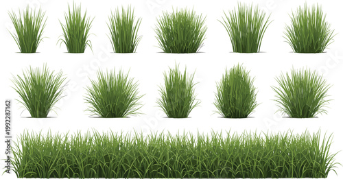 Realistic Grass Tuft Collection with Green Lawn Bush Elements for Nature Landscape Design, Garden Decoration and Ground Texture Vector Illustration Set