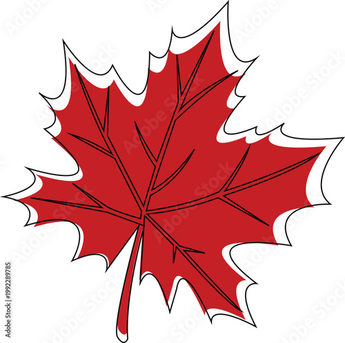 Red Maple Leaf with Veins and Outline autumn fall