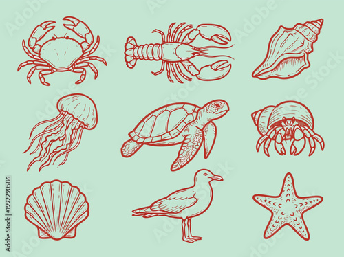 Foto Marine life vector illustration featuring crab lobster shell jellyfish turtle hermit crab seagull and starfish