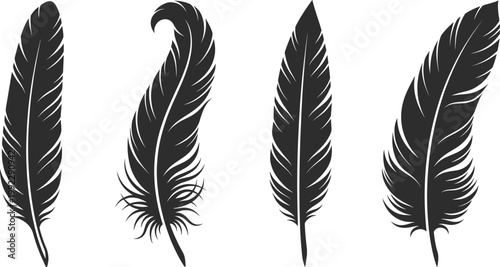 Set of four minimalist black feather silhouettes featuring quill pens flight feathers and decorative plumes isolated on white background for literary and boho design.