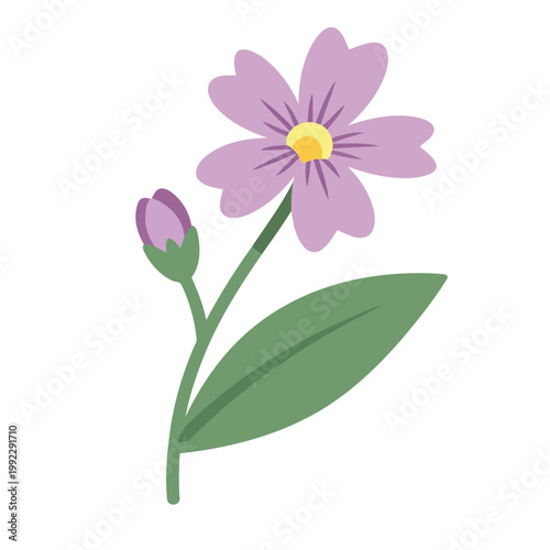 Purple flower with green stem and leaf green leaf flower bud