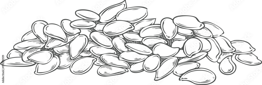 Fototapeta premium Flax seed pile vector sketch, superfood, engraved hand drawn Linen cereal crops seeds heap, condiment or seasoning grain