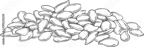 Flax seed pile vector sketch, superfood, engraved hand drawn Linen cereal crops seeds heap, condiment or seasoning grain