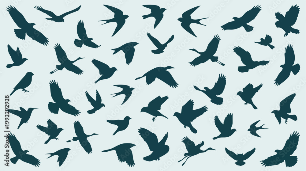 Fototapeta premium Collection of various flying bird silhouettes on a light background