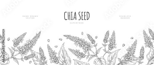 Seamless border with chia branches, seeds, flowers, and leaves, black and white hand-drawn sketch.