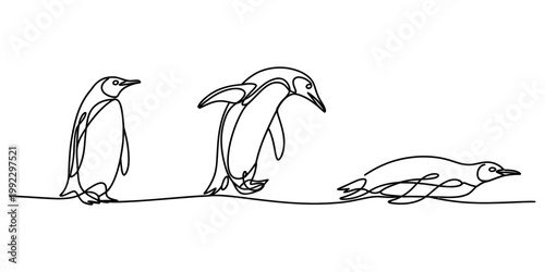 A minimalist black and white line art illustration showcasing three penguins in different poses set on a plain white surface. Vector, illustration