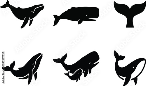Collection of minimalist black whale silhouettes presented as a professional vector graphic illustration set showing various aquatic mammals in different swimming positions suitable for logo design pr