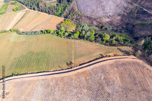 Photography Aerial view of a firebreak between forest and field The Concept of environmental