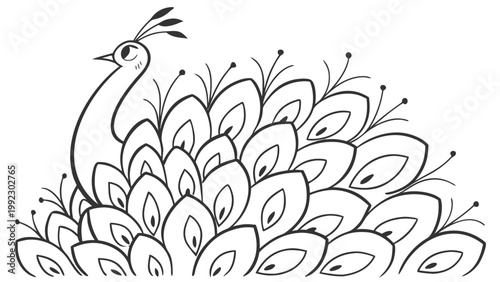 Vector illustration of a stylized peacock with ornate plumage feathers illustration wildlife minimalist