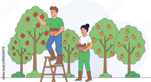 Vector illustration of people picking apples, harvest scene, fruit picking, orchard workers, agriculture icons