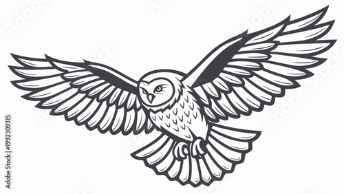 Vector illustration of an owl in flight detailed wing feathers wildlife predator illustration detailed