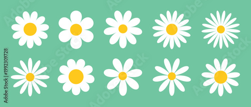 Set of icons with white daisies of different shapes on a green background. Set of white, flat, cute spring and summer flowers. Design elements. Vector EPS 10.