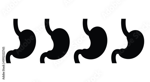 Four stomach shapes illustrated in a minimalist black silhouette