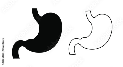 Human stomach illustration showing filled and outlined forms silhouette