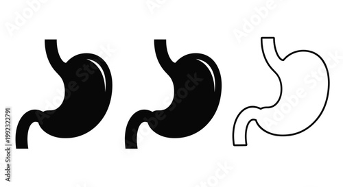 Human stomach anatomy illustration showing different views black silhouette