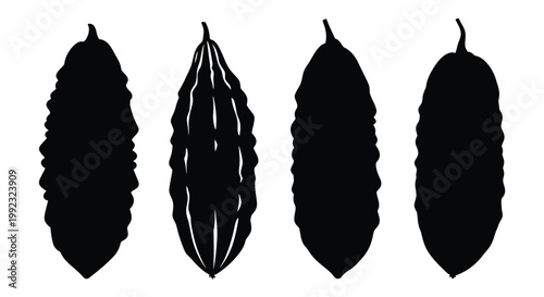 Four bitter melon shapes displayed as a striking black silhouette