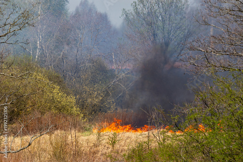 A large grass fire burns across a dry field in the Kaliningrad region, sending dense black smoke into the sky. The blaze spreads rapidly through dry vegetation.