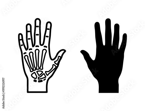 Human Hand Skeleton and Silhouette Vector Icons