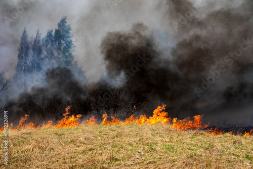 A large grass fire burns across a dry field in the Kaliningrad region, sending dense black smoke into the sky. The blaze spreads rapidly through dry vegetation.
