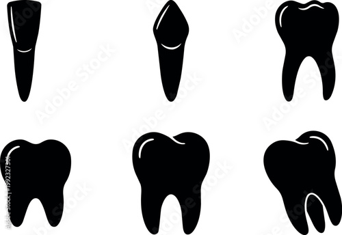 Black and white silhouette icons of six different tooth shapes and types