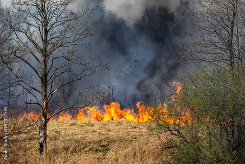 A large grass fire burns across a dry field in the Kaliningrad region, sending dense black smoke into the sky. The blaze spreads rapidly through dry vegetation.