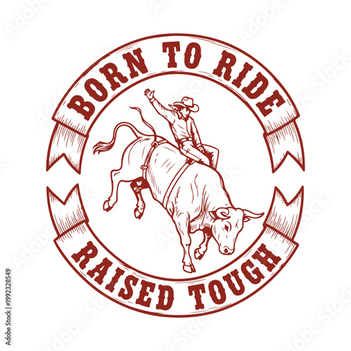 Cowboy riding a bull with a determined expression isolated on white background