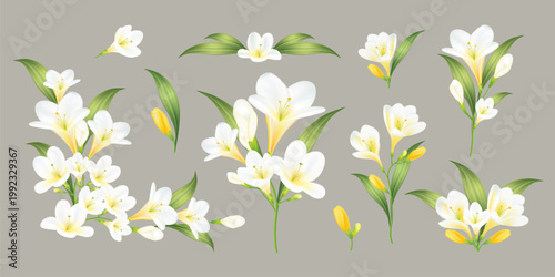 Delicate watercolor freesia floral bouquet with purple blossoms.