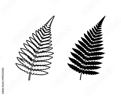 Bilde på lerret Black Fern Leaf Outline and Silhouette Vector Set