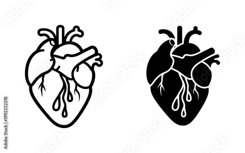 Anatomical Human Heart Vector Icon Set