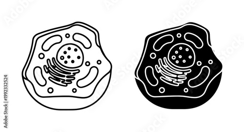 Biological animal cell anatomy icons, eukaryotic cell structure diagram in line and silhouette styles, scientific microbiology vector illustrations