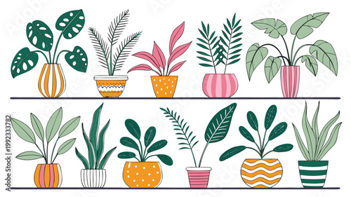 Vector illustration of indoor houseplants in patterned ceramic pots with houseplant botanical decoration