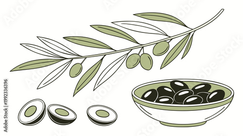 Vector illustration of an olive branch with green fruit and a bowl of black olives for mediterranean food