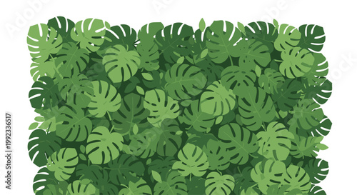 Multiple overlapping monstera deliciosa leaves create a solid and textured green wall of foliage that dominates the horizontal composition against a white sky.