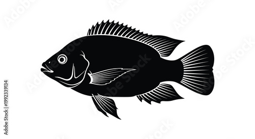 A striking black silhouette of a fish showcasing detailed fin structures and a distinct eye silhouette high quality professional modern elegant
