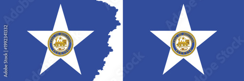 Houston flags vector. Standard flag and with torn edges